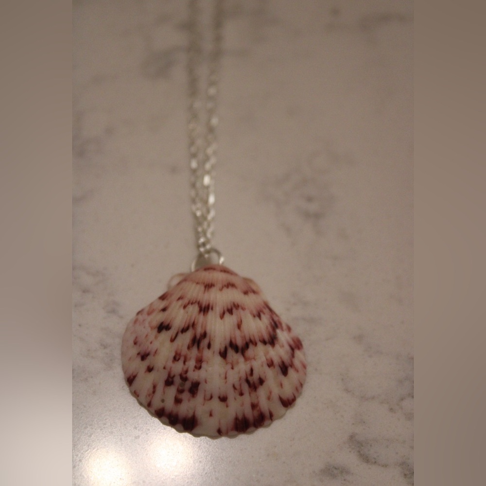 Elegant Calico Scallop Shell Pendant Necklace